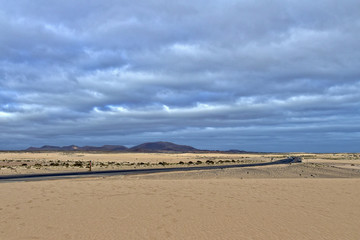 landscape from the Spanish Canary Island Fuerteventura with dunes and the ocean