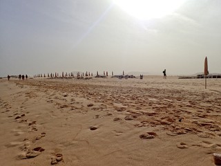 landscape from the Spanish Canary Island Fuerteventura with dunes and the ocean