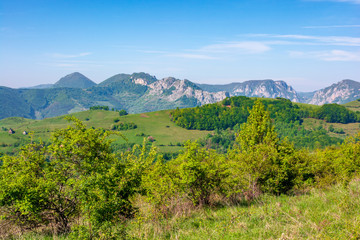 Fototapeta na wymiar gorges and mountains of Romanian countryside. beautiful rural landscape of valea Manastirii in Alba country. wonderful sunny weather in springtime.
