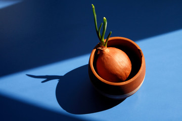 green onion in earthenware cup