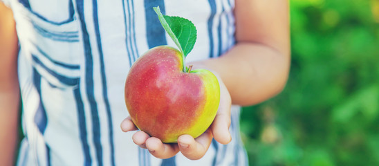 child with an apple in the garden. Selective focus.