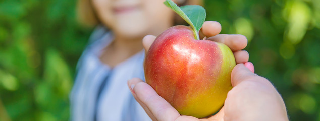 child with an apple in the garden. Selective focus.