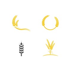Set Wheat icon Vector Illustration design