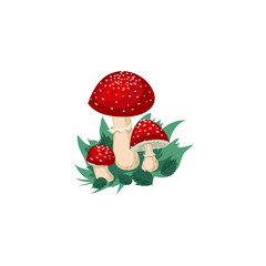 Red fly agaric mushrooms vector illustration in flat cartoon style.