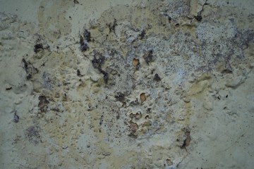 Wall paints damaged, peeled off and bubbling, photographed outdoor at close range.