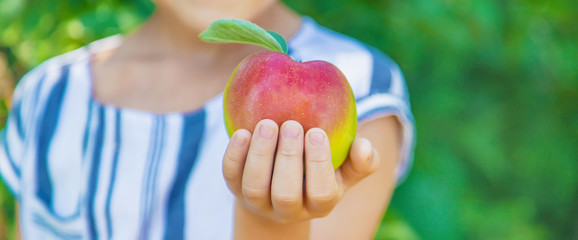 child with an apple in the garden. Selective focus.
