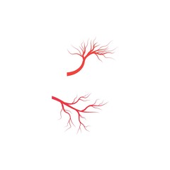 Veins icon Vector Illustration design