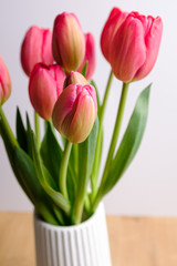 Pink tulip flower in bloom on a flower bouquet on a white background