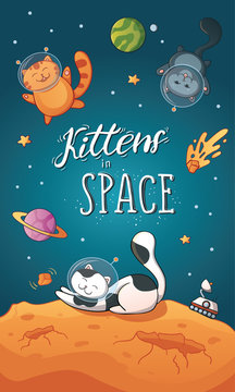 postcard kittens in space