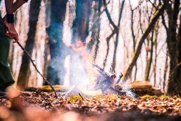 lightening fire in woods