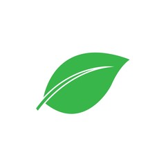 Leaf icon Vector Illustration design Logo