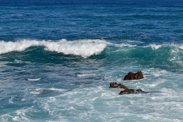 Canary islands in the Atlantic Ocean. Waves on the black rocky coast volcanic Tenerife Island.