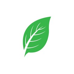 Leaf icon Vector Illustration design Logo