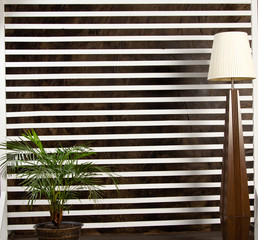 Modern wall interior with plant and light. Background
