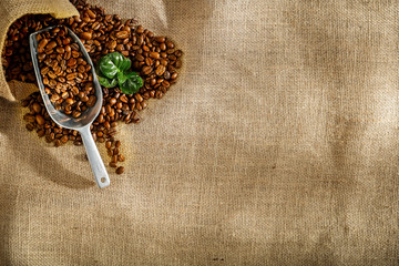 Coffee on a jute sack in the light of the morning sun in a Brazilian moody roaster