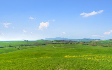 Fototapeta premium Green grassland under the blue sky