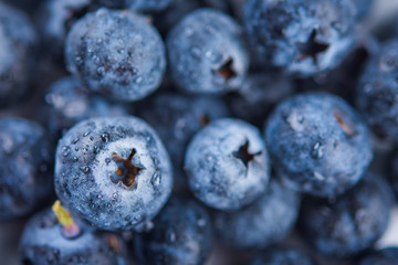 Water drops on ripe sweet blueberry. Fresh blueberries background