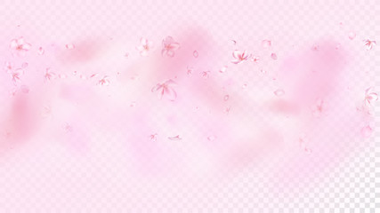 Nice Sakura Blossom Isolated Vector. Spring Flying 3d Petals Wedding Border. Japanese Oriental Flowers Illustration. Valentine, Mother's Day Magic Nice Sakura Blossom Isolated on Rose