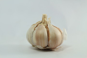 organic garlic on white background