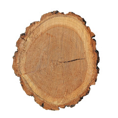 A cut of sawn wood. A piece of wood on a white background.