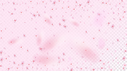 Nice Sakura Blossom Isolated Vector. Magic Flying 3d Petals Wedding Design. Japanese Nature Flowers Wallpaper. Valentine, Mother's Day Pastel Nice Sakura Blossom Isolated on Rose