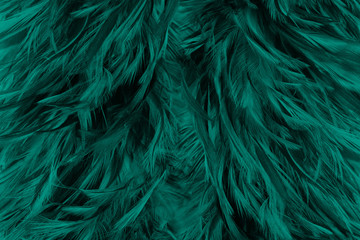 Beautiful dark green viridian vintage color trends feather texture with orange light flares
