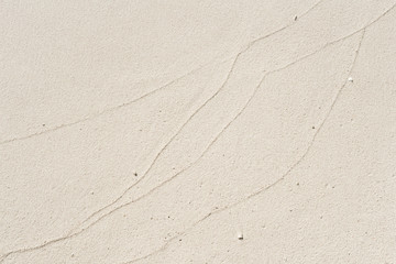 Close up of abstract tropical beach sand texture background