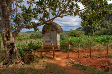 ferme &agrave; cuba 