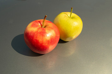 Apple on a gray background