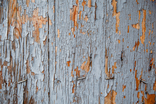 Old wooden wall with remnants of paint. Background done in retro style