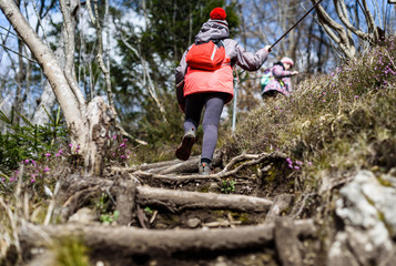 Obraz premium Children hiking in the mountains or woods on family trip.