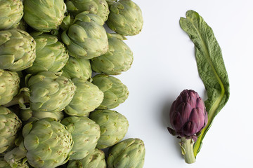 Be different, composition with artichokes