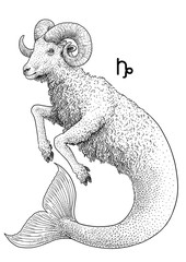 Capricorn zodiac symbol illustration, drawing, engraving, ink, line art, vector
