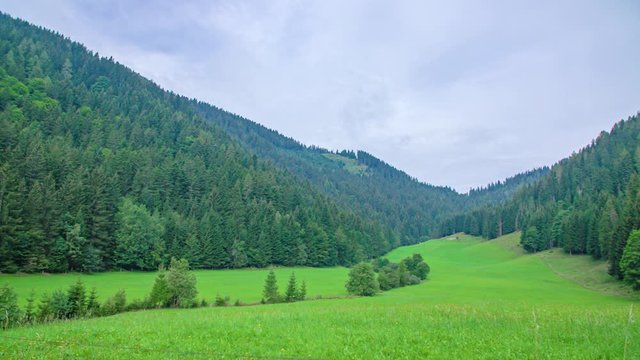 Pan right to left. Breathtaking mountain forest nature landscape. Cloudy spring day. Topla Valley, Slovenia