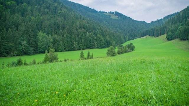 idyllic view of the forest, mountains and cloudy sky of Topla Valley. Tilt down
