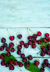 cherries on a turquoise wooden surface