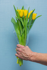 Man hand with yellow tulips bouquet on blue wall background. Springtime. Woman and mother day concept.