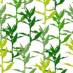 The seamless background is herbal. Vector illustration