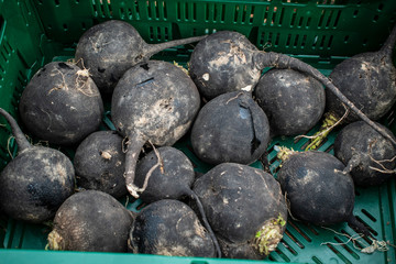 Rote Beete