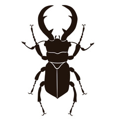 Stag-beetle isolate on white background. Vector graphics.