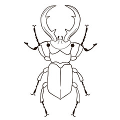 Stag-beetle isolate on white background. Vector graphics.