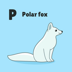 Cartoon polar fox, cute character for children. Vector illustration in cartoon style for abc book, poster, postcard. Animal alphabet - letter P.