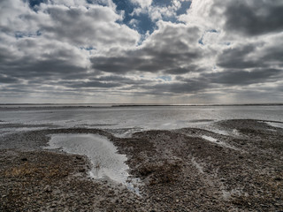 Ebb tide Road on the wadden sea to the island Mandoe, Esbjerg Denmark
