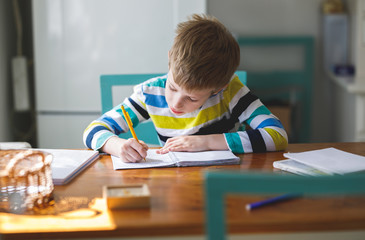 Little Boy Doing Homework at Home