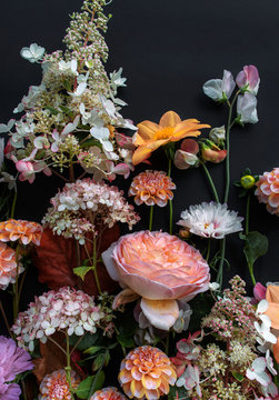 Roses, hydrangea, dahlias, sweet peas  on a dark background