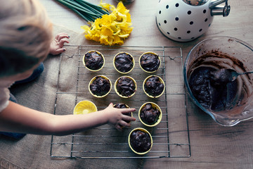 Homemade chocolate cakes and muffins with little hand of girl who prepares sweet dessert for easter.  Traditional cake with yellow daffodils on wooden table in the kitchen. Top view.