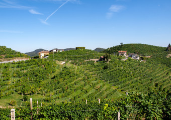 Picturesque hills with vineyards of the Prosecco sparkling wine region in Valdobbiadene, Italy.