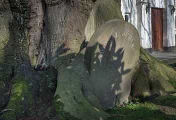 Horebeke East Flanders Belgium. Graveyard. Cemetry. Thombstones.Geuzenhoek.