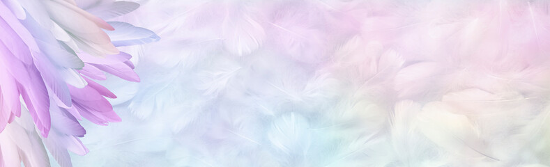 Fototapeta na wymiar Multicoloured pastel Angel Feather Message Banner Background - a pile of long rainbow coloured feathers in left corner and wide message area with pastel coloured small random fluffy feathers 