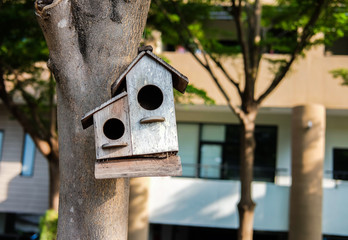 in front bird house on tree